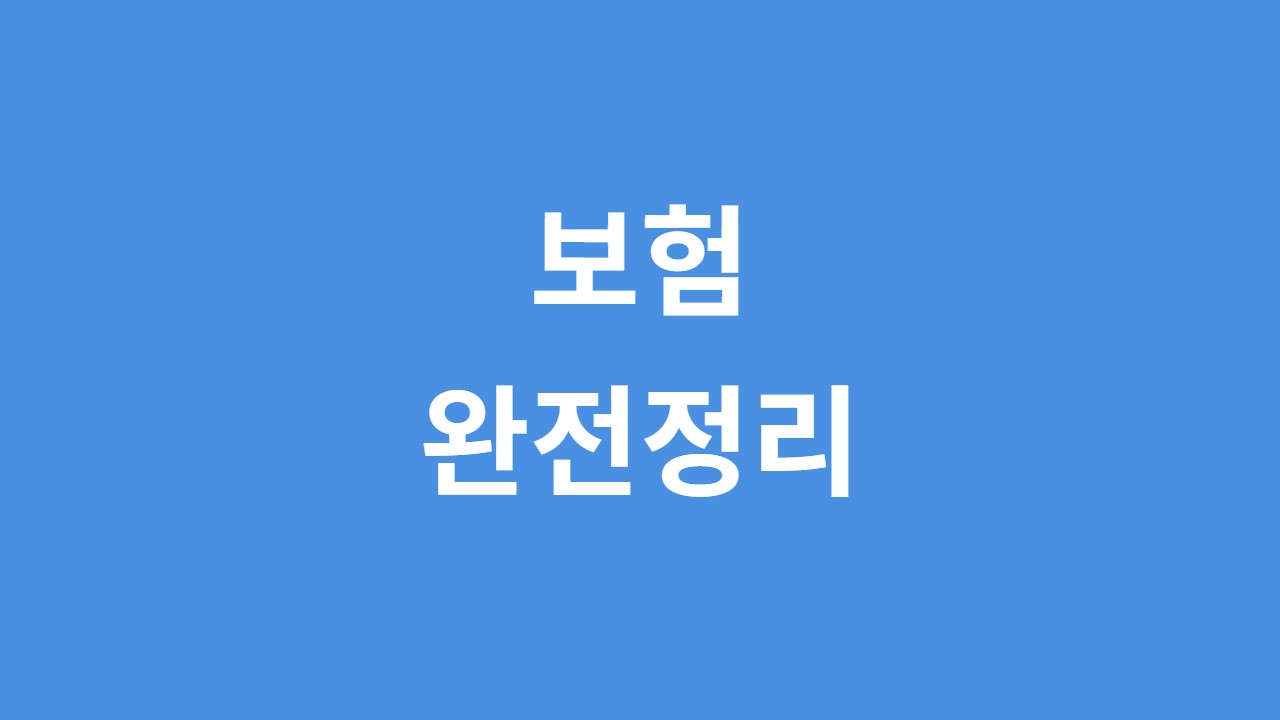 보험 인포스토리